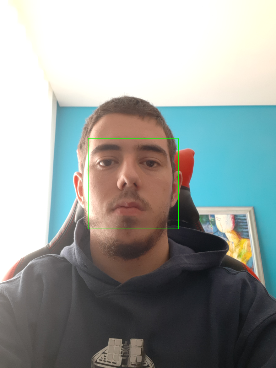 faceDetection